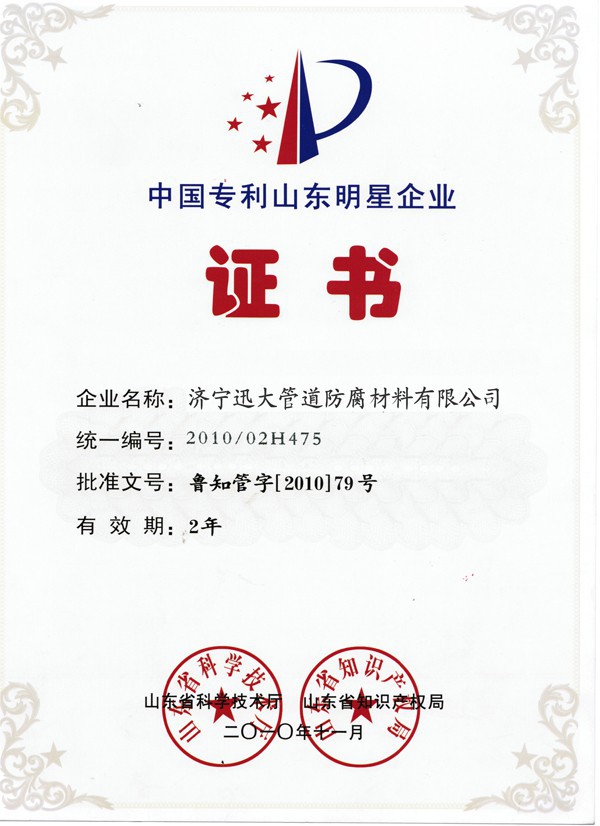 中国专利山东明星企业证书