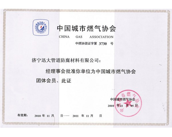 中国城市燃气协会